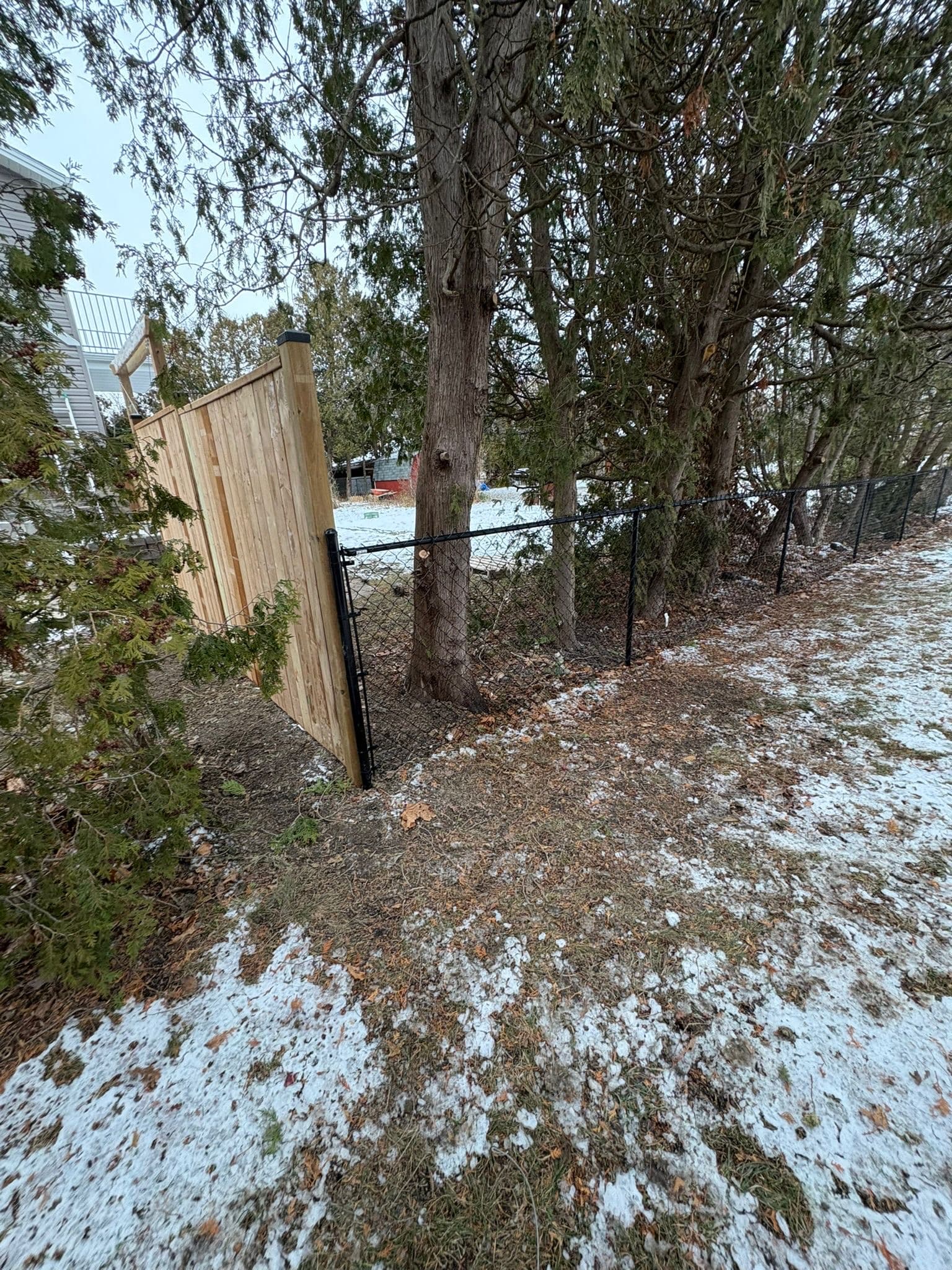 Wood and chain link fence combination