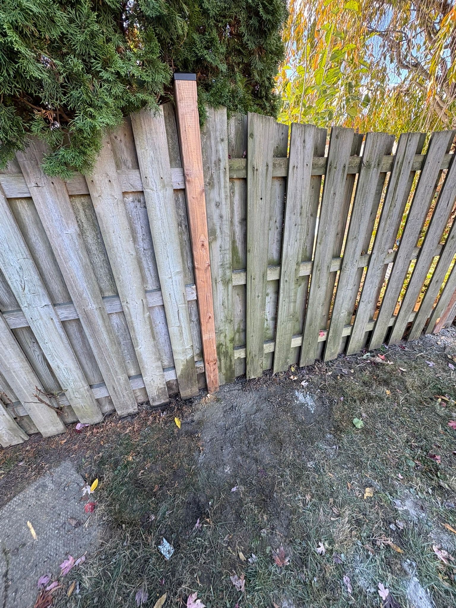 Aged wood fence showing post damage and warping