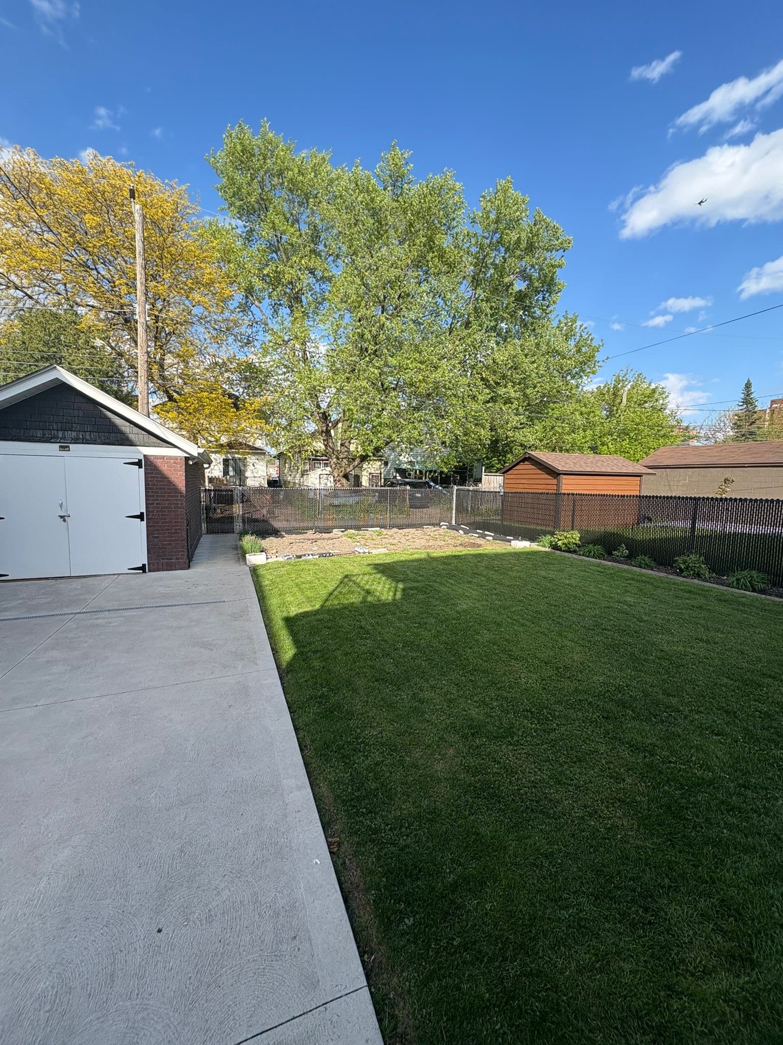 Brown chain link fence in residential backyard with green lawn