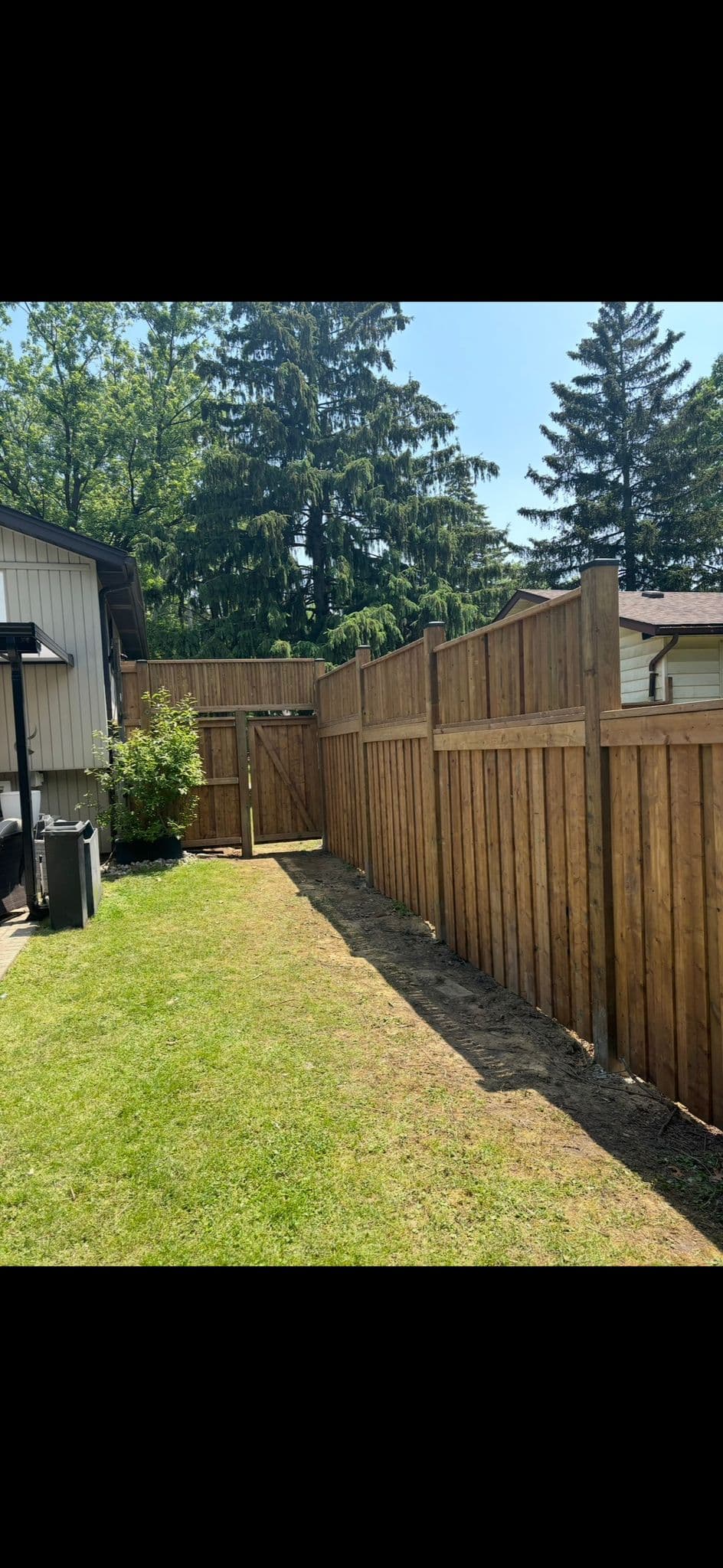 Wooden fence along wooded residential area with tall trees