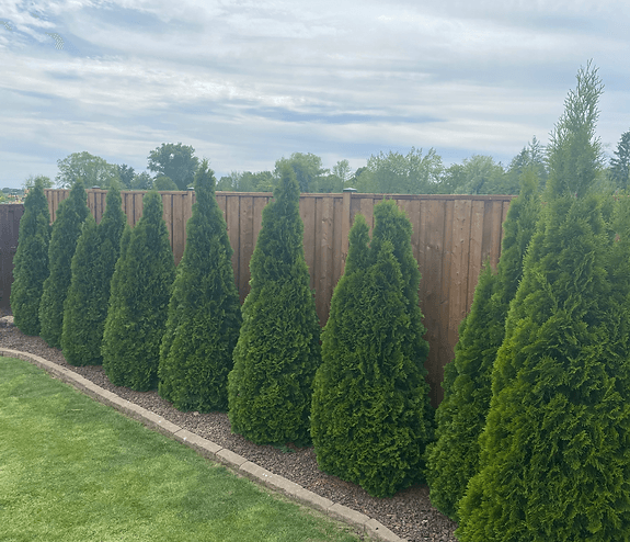 Best Fence Types for Windsor's Climate